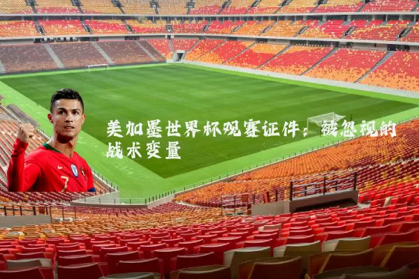美加墨世界杯观赛证件:被忽视的战术变量